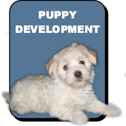 Pup Development Pic